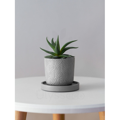 Маленькое кашпо lovy с подставкой, серое, искусственный камень, лак, 7.5х6.7 см