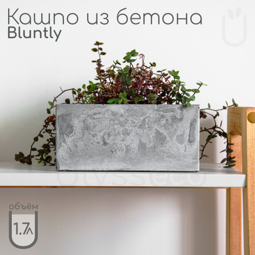 Кашпо прямоугольное "Bluntly", индустриальный бетон, 19x10 см / органайзер
