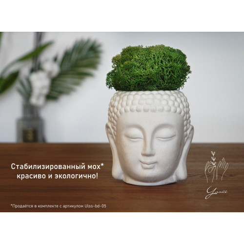 Кашпо из гипса Будда, белая эмаль, 11 см / органайзер / статуэтка
