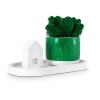 Набор "Floristic home green" с подставкой, мхом и домиком, эмаль, лак, 10x18 см