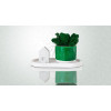 Набор "Floristic home green" с подставкой, мхом и домиком, эмаль, лак, 10x18 см
