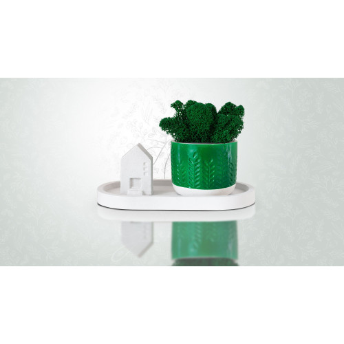 Набор "Floristic home green" с подставкой, мхом и домиком, эмаль, лак, 10x18 см