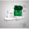 Набор "Floristic home green" с подставкой, мхом и домиком, эмаль, лак, 10x18 см