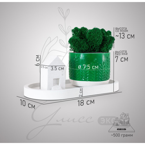 Набор "Floristic home green" с подставкой, мхом и домиком, эмаль, лак, 10x18 см