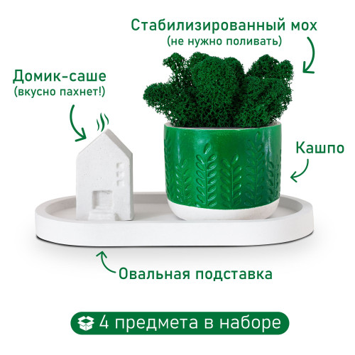 Набор "Floristic home green" с подставкой, мхом и домиком, эмаль, лак, 10x18 см